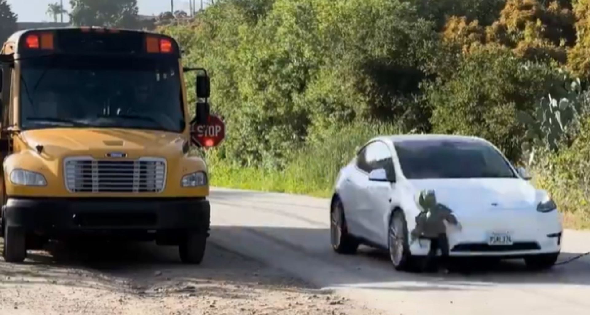 Carro robô da Tesla atropela boneco do tamanho de criança em teste assustador