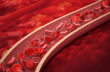 Por que a regeneração natural do corpo não é suficiente para impedir doenças crônicas?