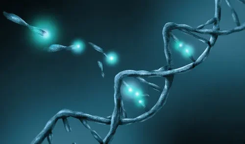 "Mutação rara em camundongo: protetor natural contra 8 vírus mortais, incluindo Ebola e Influenza"