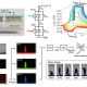 Sinapse artificial autoalimentada imita como os olhos humanos enxergam cores