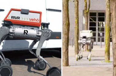 Robô que anda com rodas e pernas começa entregas em cidade dos EUA e supera obstáculos