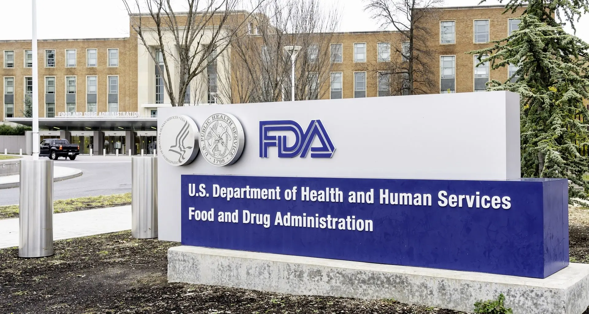 Conheça Elsa: nova inteligência artificial da FDA para acelerar análise de medicamentos