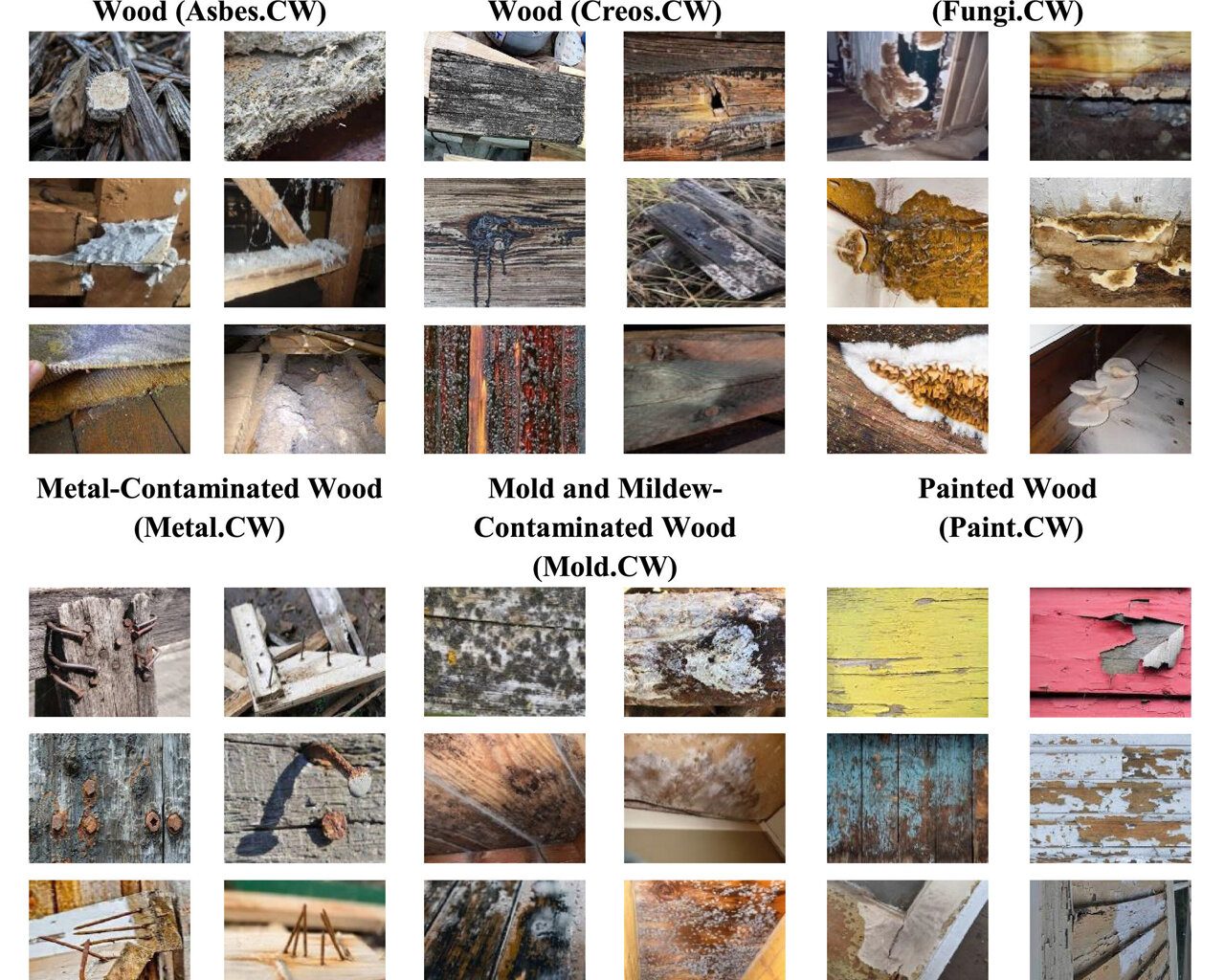 Inteligência Artificial identifica madeira contaminada em obras com 91% de precisão