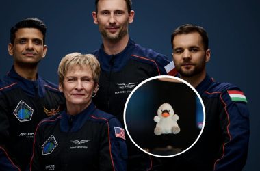 Cisne de pelúcia vai ao espaço com astronautas da missão Axiom-4