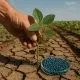 Agricultores que não se adaptam perdem: nanopartículas com óxido nítrico prometem reverter bilhões em prejuízo