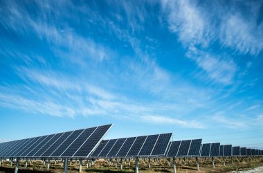 "Quero mais aqui do meu lado": maioria dos vizinhos de usinas solares apoia novas instalações na região