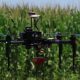 Congresso destaca Inteligência Artificial na Agricultura do Brasil