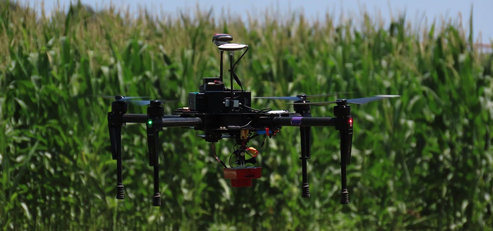 Congresso destaca Inteligência Artificial na Agricultura do Brasil