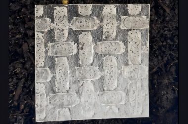 Cientistas criam robôs flexíveis de papel de arroz que se decompõem naturalmente em 32 dias
