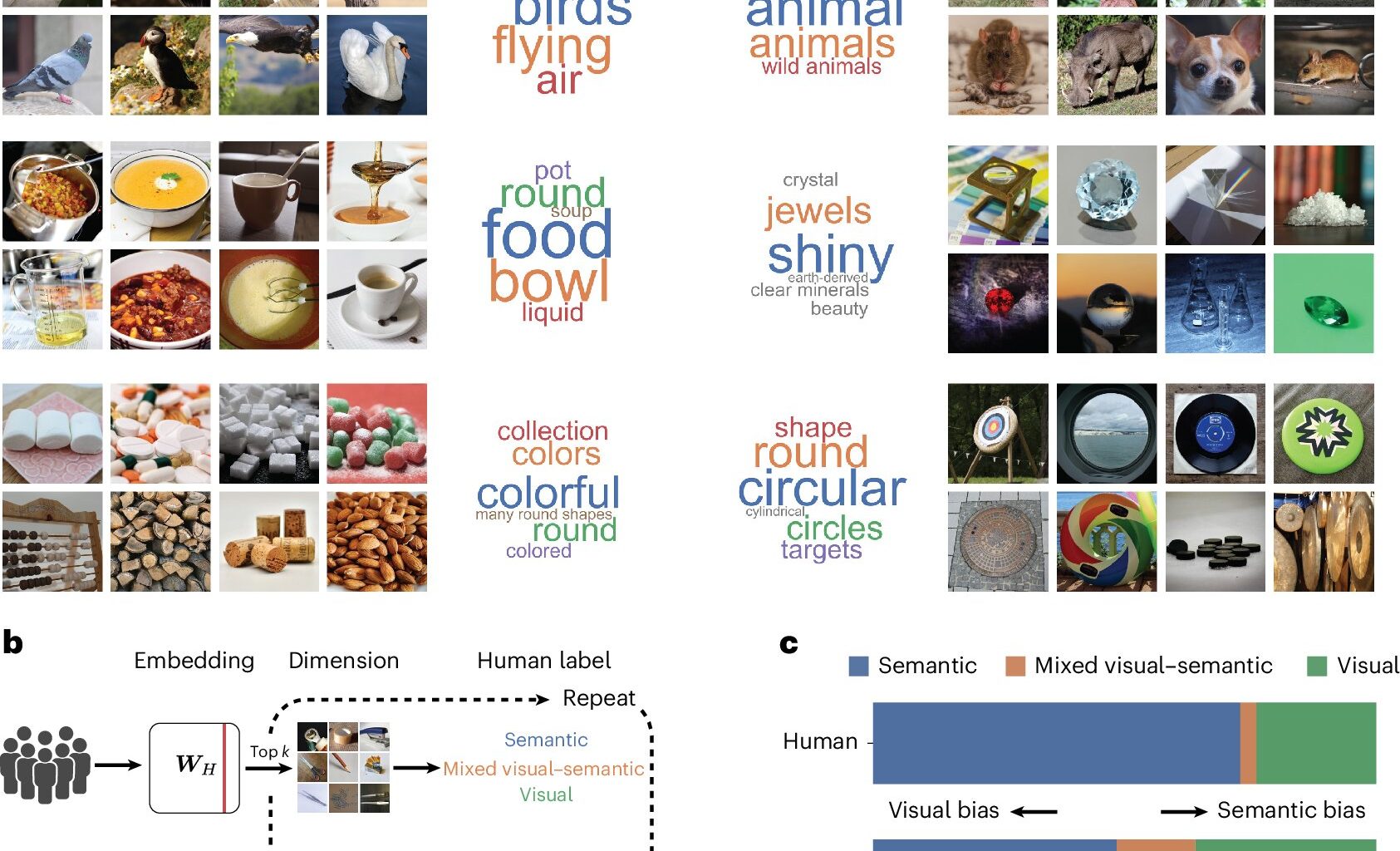 IA e humanos enxergam objetos de forma diferente: significado x características visuais