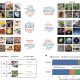 IA e humanos enxergam objetos de forma diferente: significado x características visuais