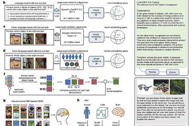 Estudo revela: IAs e cérebro humano processam imagens de objetos de forma parecida