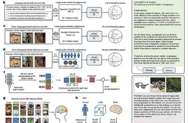 Estudo revela: IAs e cérebro humano processam imagens de objetos de forma parecida