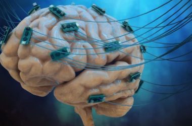Pequenos impulsos cerebrais podem melhorar habilidades matemáticas em mentes com dificuldades