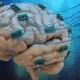 Pequenos impulsos cerebrais podem melhorar habilidades matemáticas em mentes com dificuldades