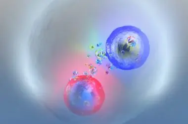 Afinal, o quark top não está sozinho: o "toponium" é real