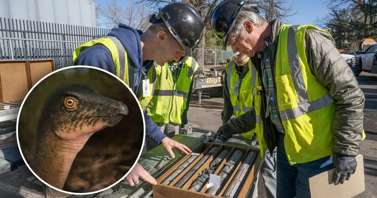 O fóssil de dinossauro mais antigo da região foi achado sob o estacionamento de um museu.