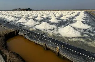 Tecnologia pioneira no mundo usa energia solar para dessalinizar água e extrair lítio.