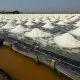 Tecnologia pioneira no mundo usa energia solar para dessalinizar água e extrair lítio.