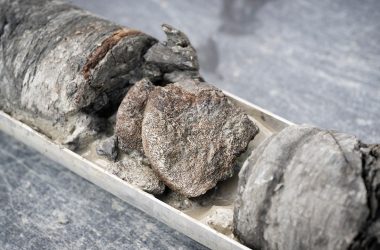 Museu descobre raro osso de dinossauro com 67 milhões de anos embaixo do próprio estacionamento.