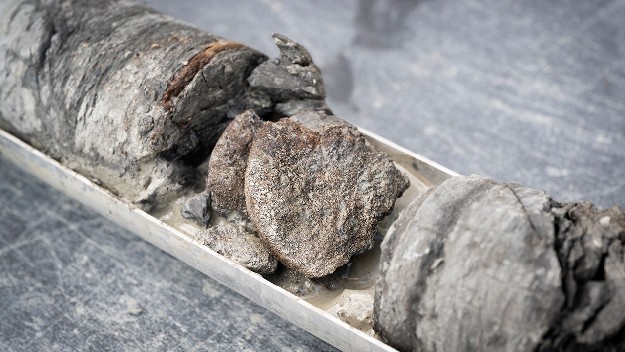 Museu descobre raro osso de dinossauro com 67 milhões de anos embaixo do próprio estacionamento.