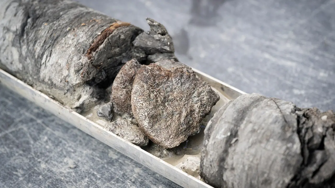 Museu descobre raro osso de dinossauro com 67 milhões de anos embaixo do próprio estacionamento.