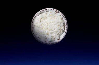 Cientistas desenvolvem "Arroz da Lua" para o espaço, que pode alimentar as regiões mais difíceis da Terra.