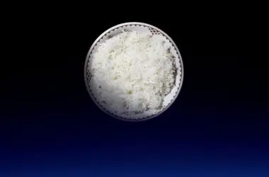 Cientistas desenvolvem "Arroz da Lua" para o espaço, que pode alimentar as regiões mais difíceis da Terra.