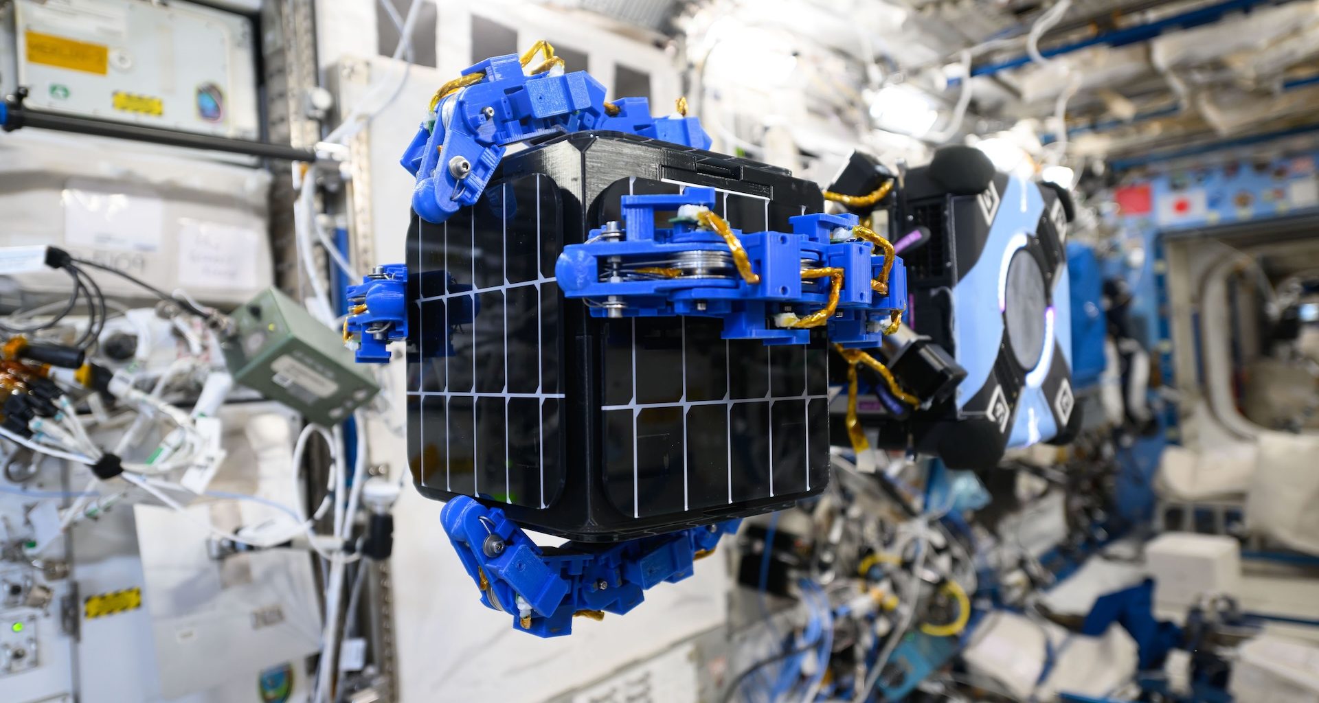 Empresa cria "guincho espacial" inspirado em pés de lagartixa e faz teste na Estação Espacial Internacional