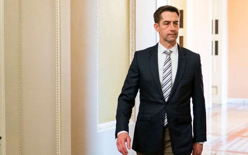 Senador republicano cobra Pentágono sobre engenheiros chineses da Microsoft