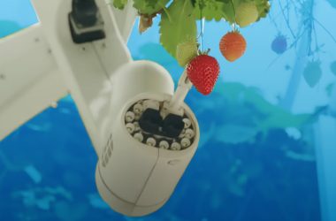 Dyson revela máquina gigante para cultivo de morangos