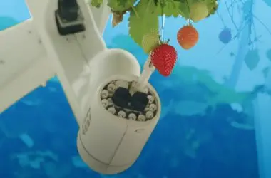 Dyson revela máquina gigante para cultivo de morangos