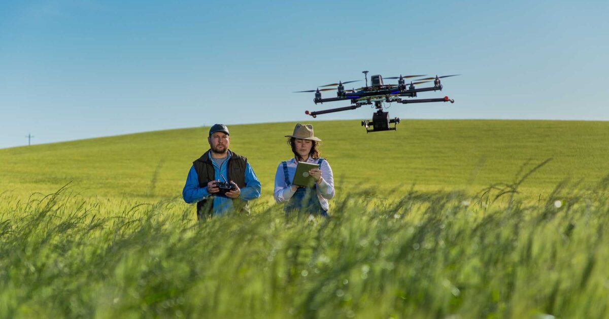 Como sistemas inspirados no cérebro humano podem deixar drones mais econômicos e eficientes