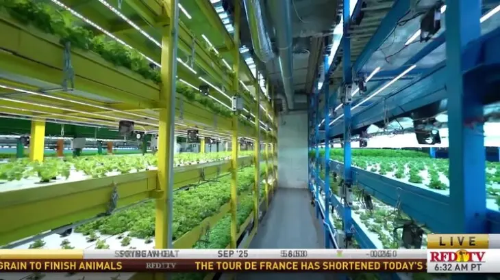 Agricultores urbanos se rendem à inteligência artificial para potencializar suas plantações!