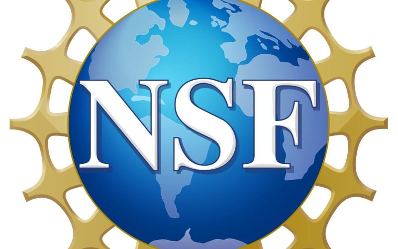 Universidade Americana recebe R$ 25 milhões para criar centro de Inteligência Artificial