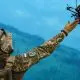 Drones Infalíveis: Por Dentro do Exército Invisível da Ucrânia