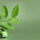 Umicore é patrocinadora oficial do Simpósio Internacional de Engenharia Automotiva no Brasil