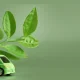 Umicore é patrocinadora oficial do Simpósio Internacional de Engenharia Automotiva no Brasil