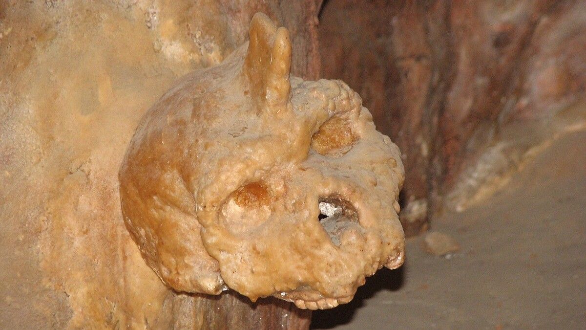 Crânio misterioso de 300 mil anos encontrado em caverna grega não era humano nem Neandertal