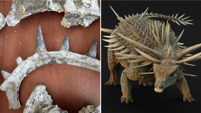 Espinhos gigantes, arma na cauda e escudos ósseos: Novos fósseis revelam dinossauro com armadura impressionante