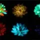Suculentas que brilham no escuro e recarregam com a luz do sol