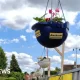 Jardim florido em Nottinghamshire traz alegria e encanta moradores do Reino Unido