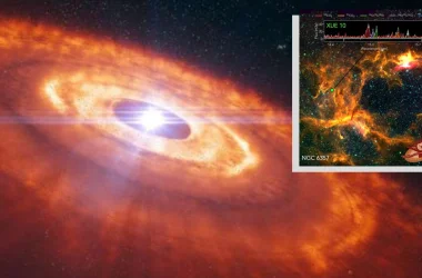 Telescópio James Webb flagra disco estranho formador de planetas ao redor de estrela recém-nascida