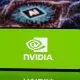 Ação da Nvidia forma nova base. Será que ainda tem força para subir mais?
