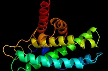 UC Davis conquista verba para impulsionar a engenharia de proteínas com inteligência artificial.