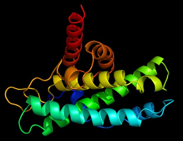 UC Davis conquista verba para impulsionar a engenharia de proteínas com inteligência artificial.
