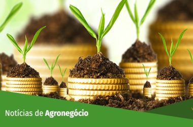 Bolsas da China e Hong Kong sobem, puxadas pela alta das empresas de tecnologia.
