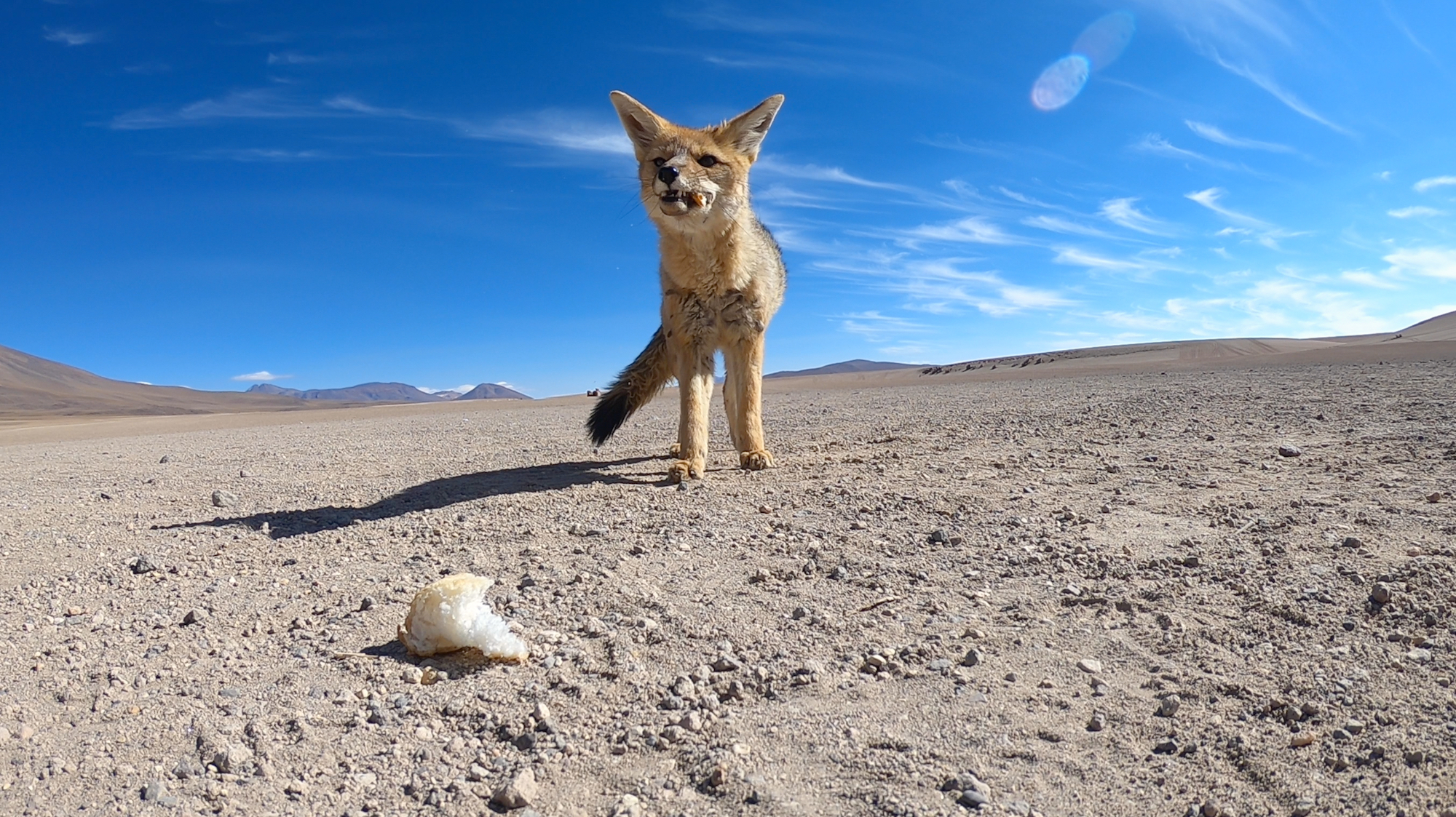 Salar de Uyuni Bolivia