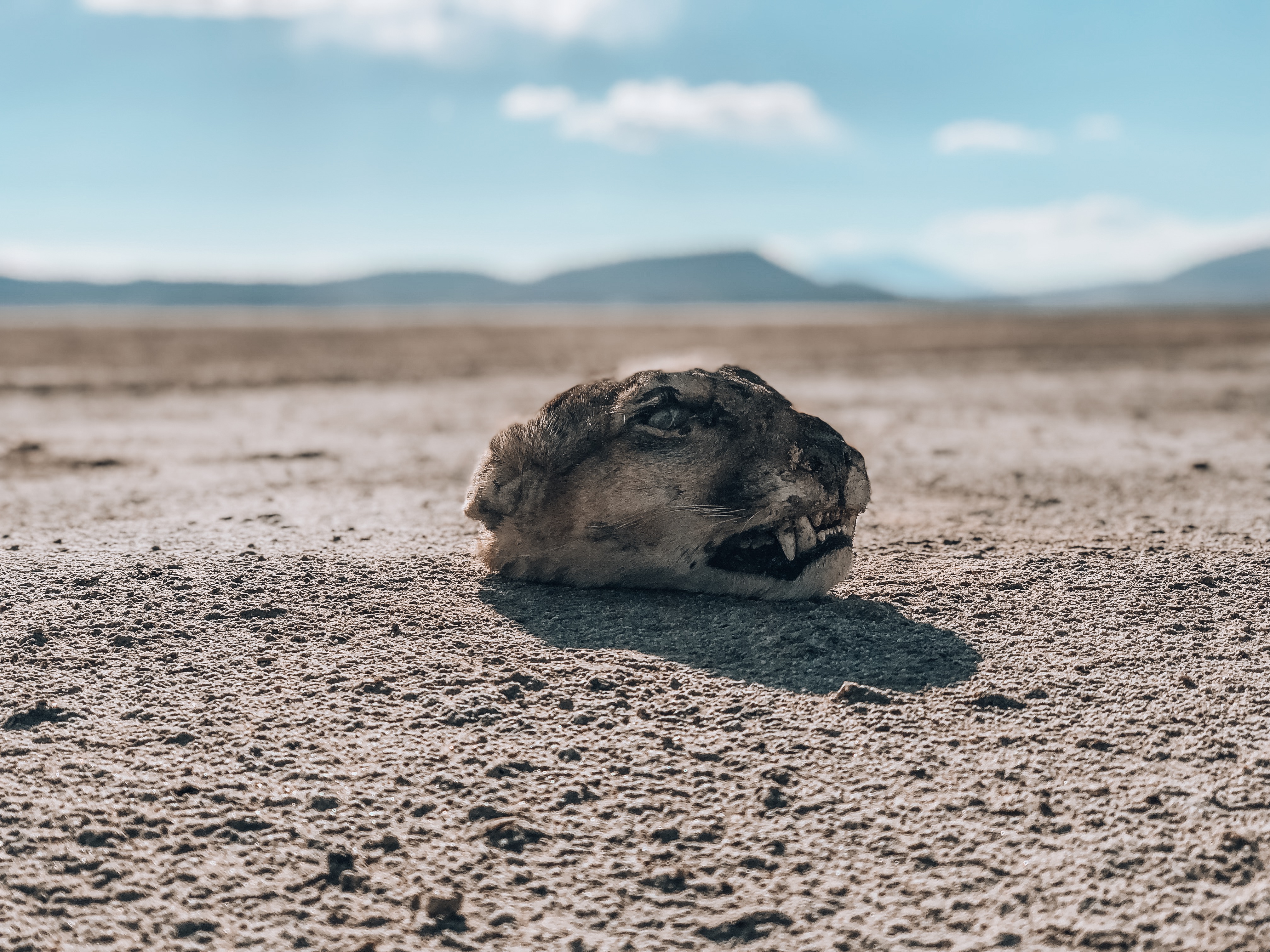 Salar de Uyuni